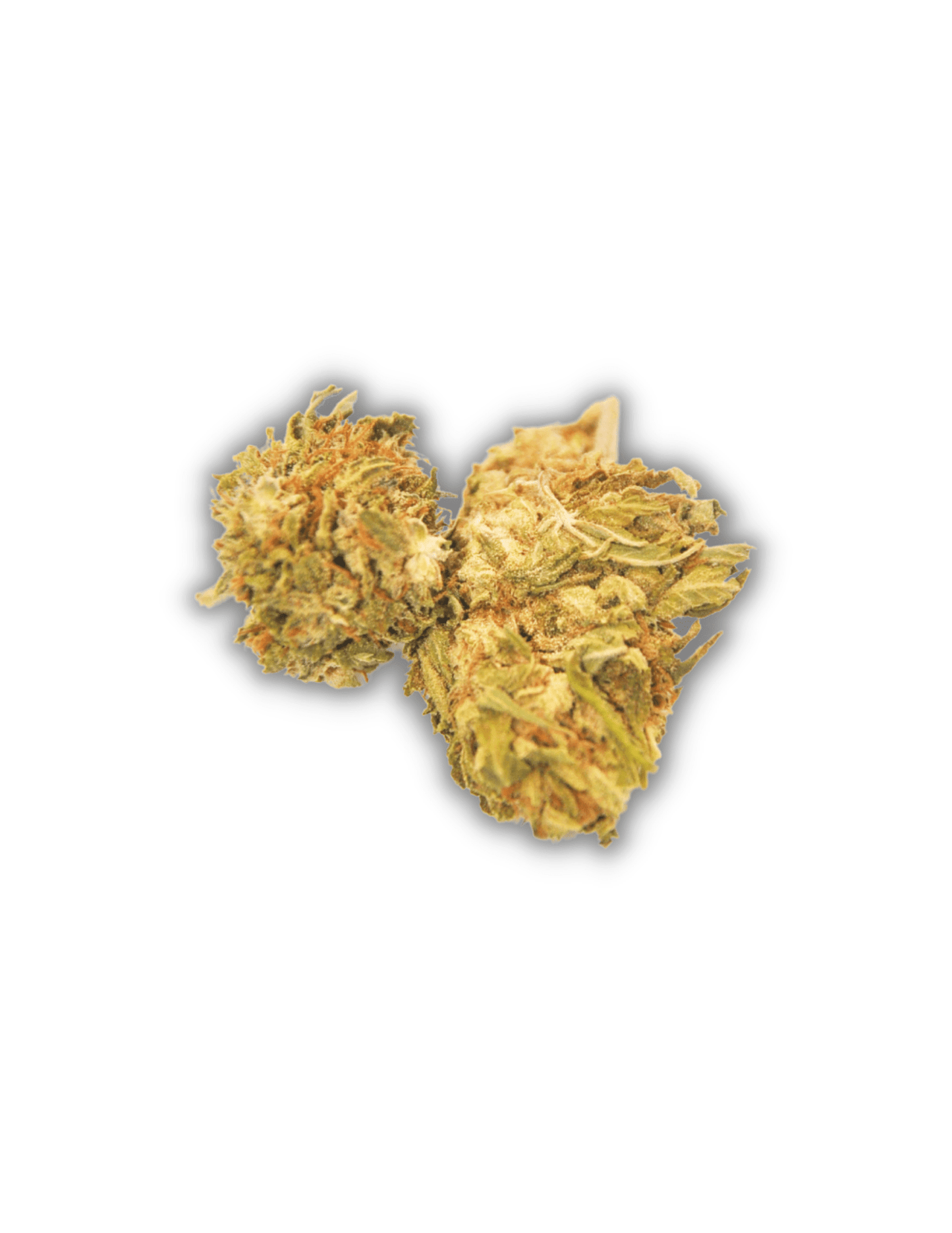 White CBG Flower | Outdoor Grown | CBG Rich Flower - Ouachita Farms